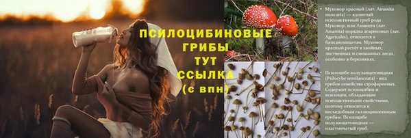 мдпв Балабаново