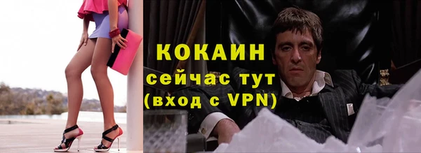 хмурый Каменка