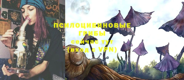 стаф Баксан