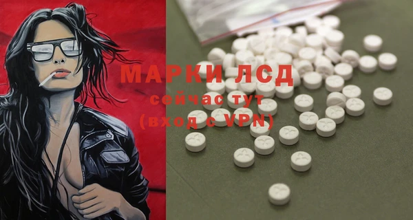 стаф Баксан